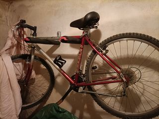 Bicicleta montaña Bradley