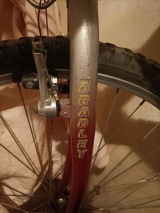 Bicicleta montaña Bradley