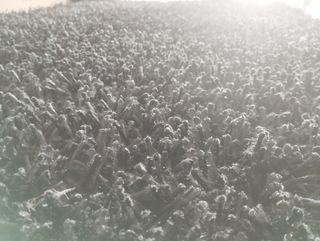 Alfombra negra - poliéster