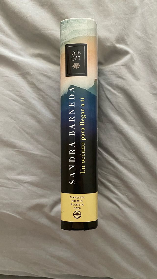 Un océano para llegar a ti: Finalista Premio Pl...