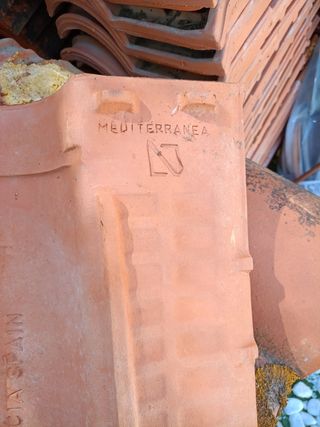 Teja mixta 