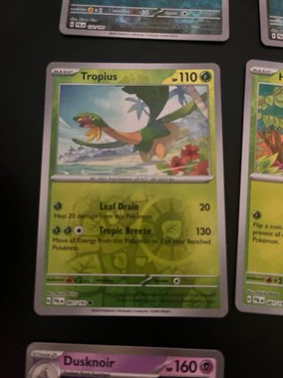 Cartas Pokémon Inglesas Novas - holográficas