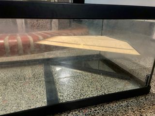 Terrario Aquatlantis Tortum 100