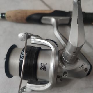 Canna spinning (offerta libera)
