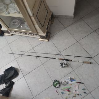 Canna spinning (offerta libera)
