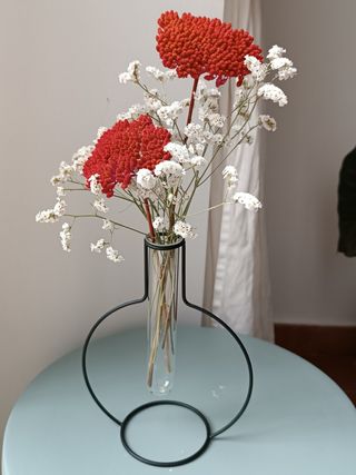 Vaso Balvi design