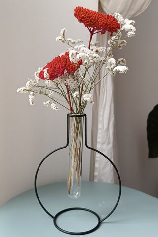 Vaso Balvi design