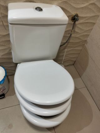 Manitas en Mérida 