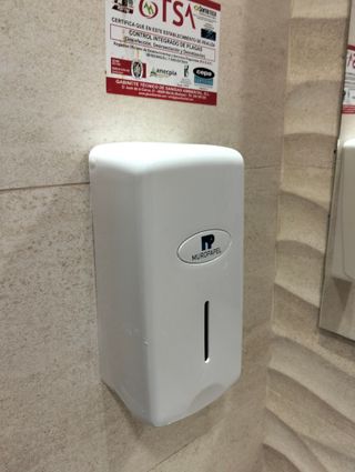 Manitas en Mérida 