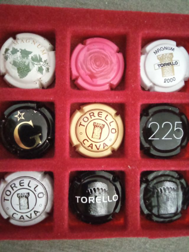 9 Chapas Cava Torello