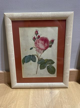 Dos cuadros con ilustraciones de rosas