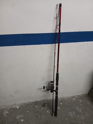 Caña y carrete pesca