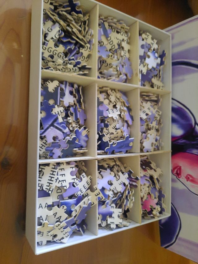 Puzzle 1000 piezas Catwoman