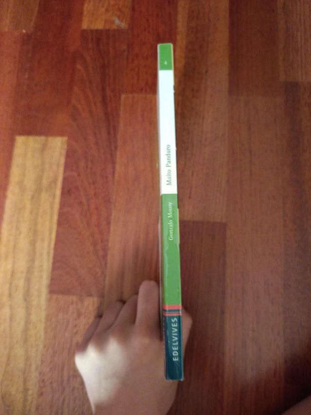 Maíto Panduro - Gonzalo Moure