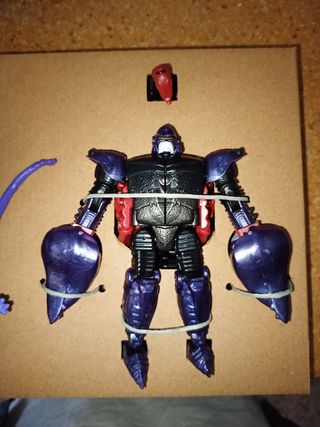 Scorponok original color