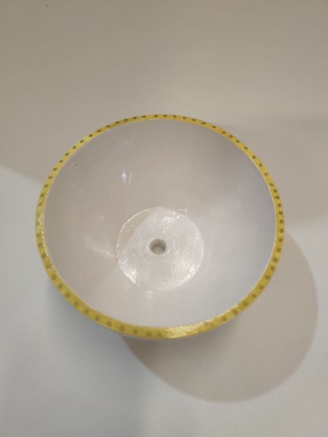 Maceta serie  ❤️Frida Kahlo Llama