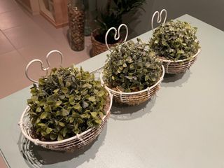 3 Maceteros colgantes decorativos (3 en 1)