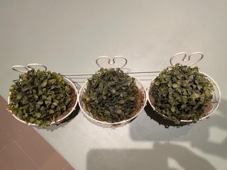 3 Maceteros colgantes decorativos (3 en 1)