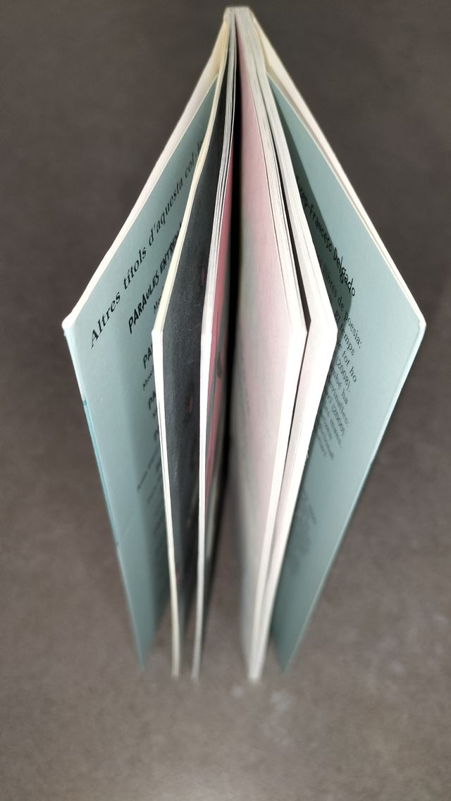 PARAULES PER ENDEVINAR