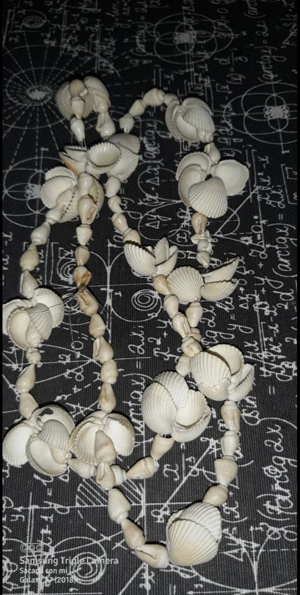 Collar conchas blanco