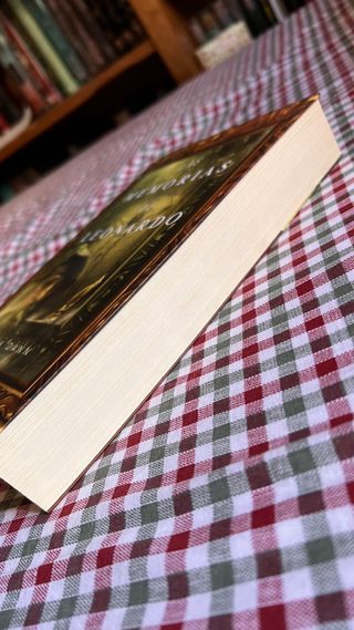 Las memorias de Leonardo