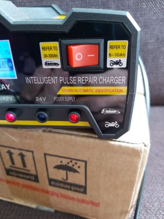 Cargador baterías 12V-24V 6-300Ah