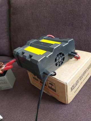 Cargador baterías 12V-24V 6-300Ah
