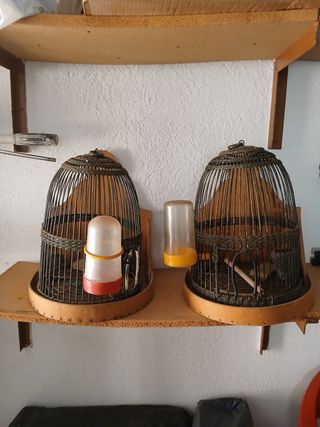 Jaulas de perdigon