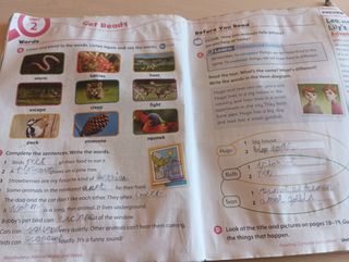 Oxford Discover 4. Activity Book with Online Pr...