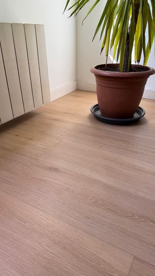 Suelo laminado INTENSO 8mm - 2,06m2