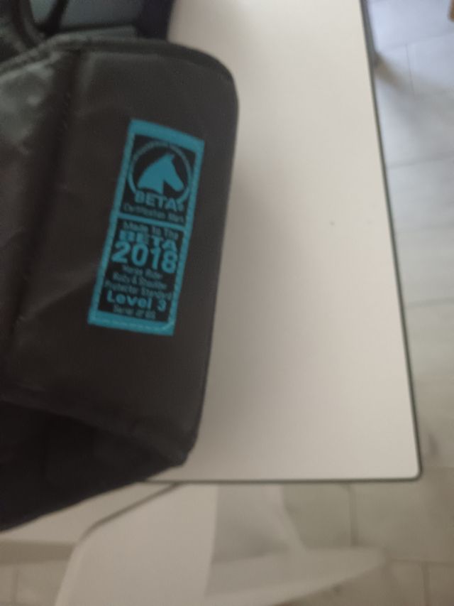 Equipo equitación niño: chaleco, casco.... 