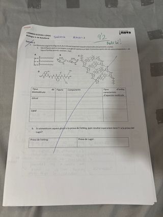 Profesora de repaso particular 