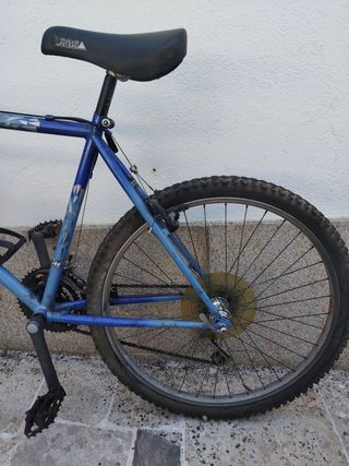 Bicicleta Orbea Sherpa montaña