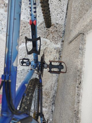 Bicicleta Orbea Sherpa montaña
