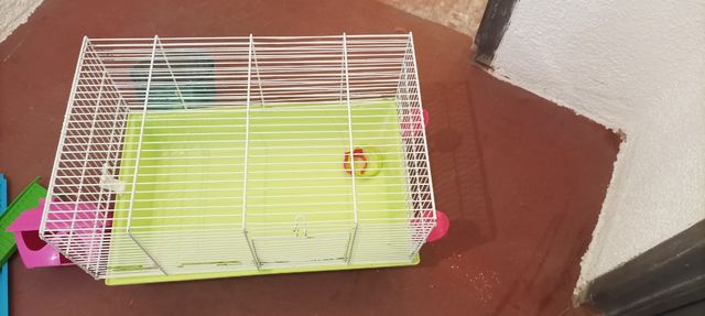 Acessórios para hamster: Gaiola, bebedouros, etc.
