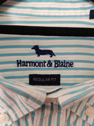 Camicia Harmont & Blaine a righe blu e bianche