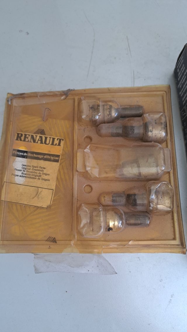 Tornillos antirrobo Renault (4 unidades)