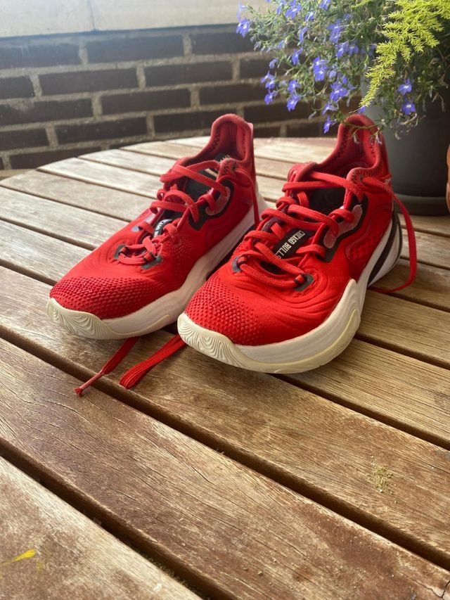 Zapatillas  Chicago Bulls rojas