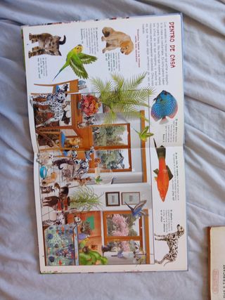 Busca los animales de tu ciudad (Spanish Edition)