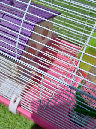 Jaula hamster + rueda + casa + bebedero y comedero