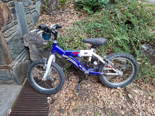 Bicicleta infantil mountain gambler