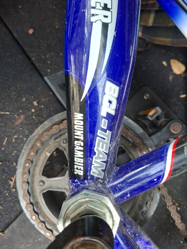 Bicicleta infantil mountain gambler