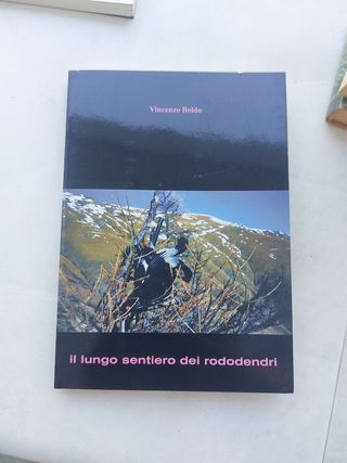 Il lungo sentiero dei rododendri 