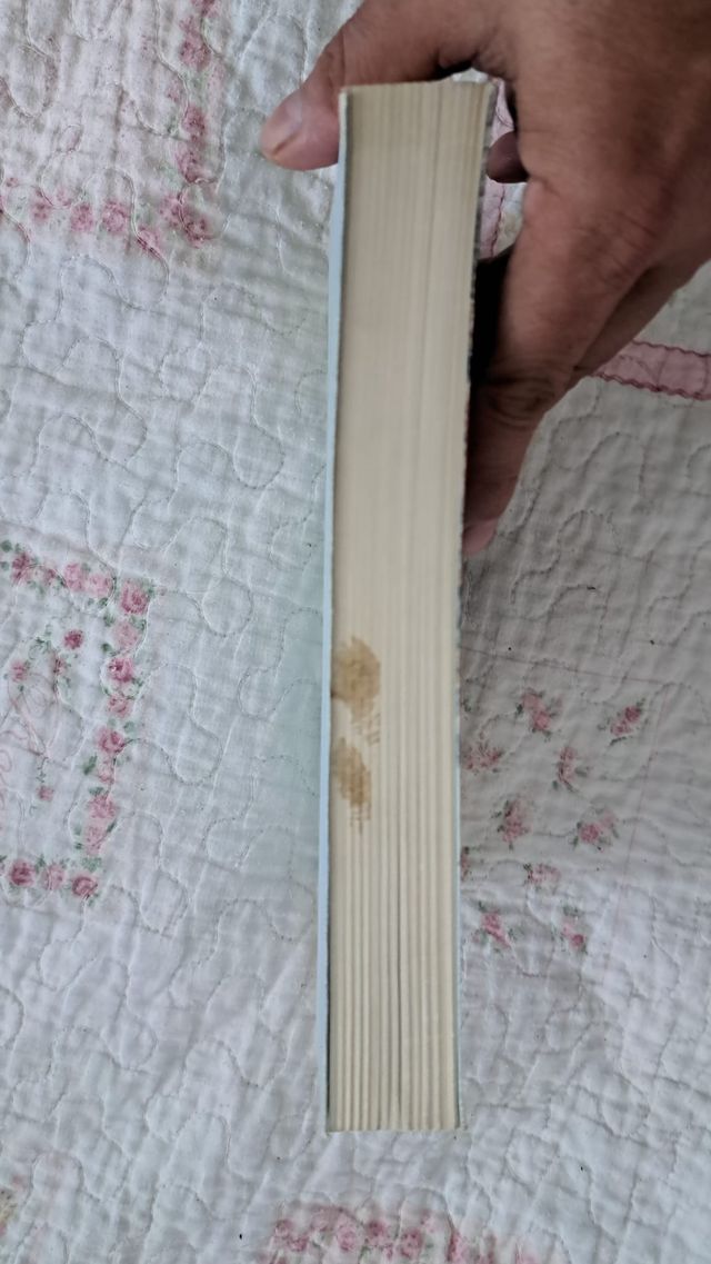 I grandi navigatori del Settecento Jules Verne