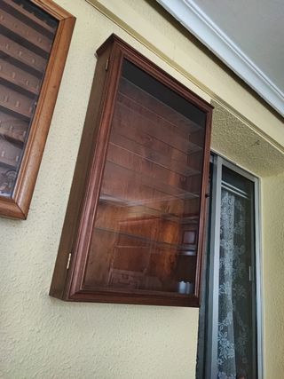 Vitrina madera con puerta - colección