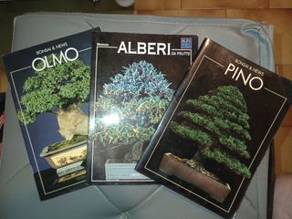 3 Guide Bonsai Crespi: Olmo, Alberi, Pino