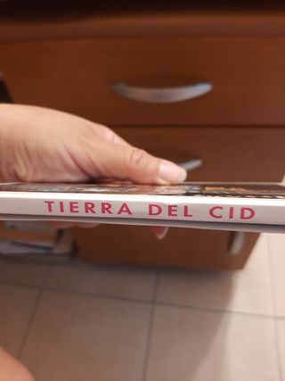 Burgos: Tierra del Cid