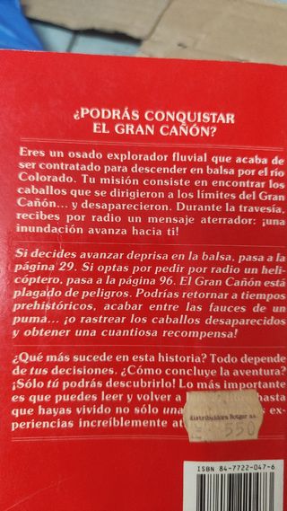 4 libros "Elige tu propia aventura y 6 "Decide...