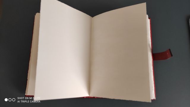 Diario in pelle rossa antico