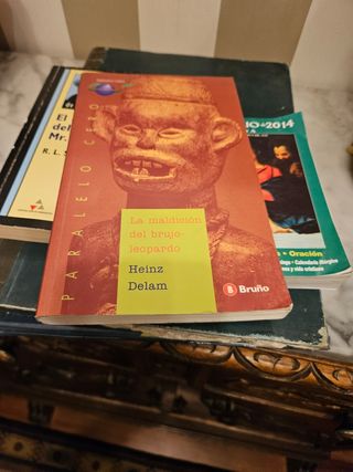 Lote de 22 libros usados.